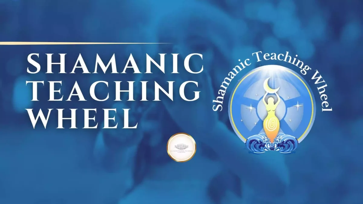 shamanic wheel